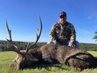 Exotic Hunts