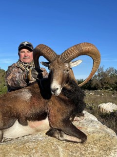 Exotic Hunts