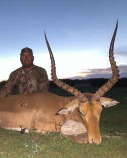Exotic Hunts