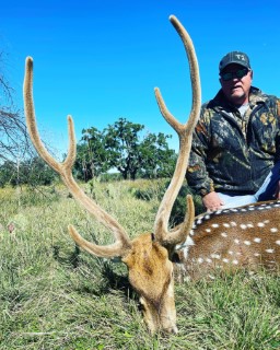 Exotic Hunts