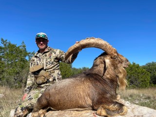 Exotic Hunts