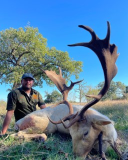 Exotic Hunts