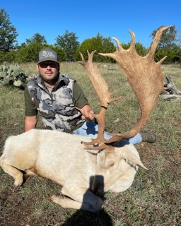 Exotic Hunts