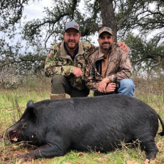 Hog Hunts