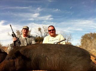 Hog Hunts