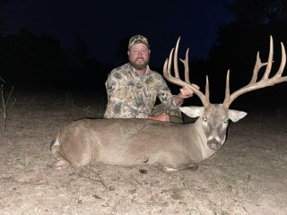 Whitetail Hunts