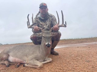 Whitetail Hunts