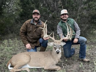 Whitetail Hunts