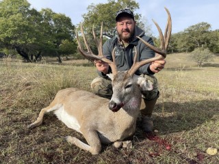 Whitetail Hunts