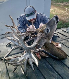 Whitetail Hunts