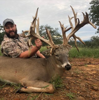 Whitetail Hunts