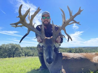 Whitetail Hunts