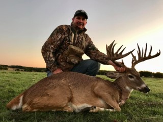 Whitetail Hunts