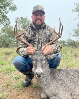 Whitetail Hunts