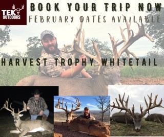 Whitetail Hunts