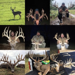 Whitetail Hunts