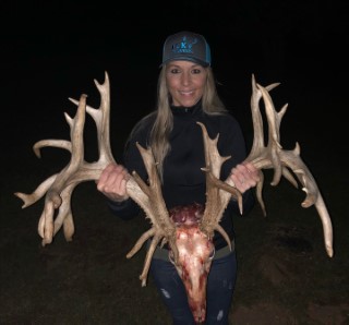 Whitetail Hunts
