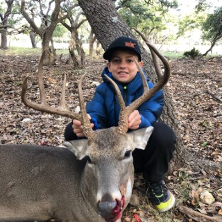 Whitetail Hunts